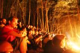 Macbeth en foret 30 * 5184 x 3456 * (10.39MB)